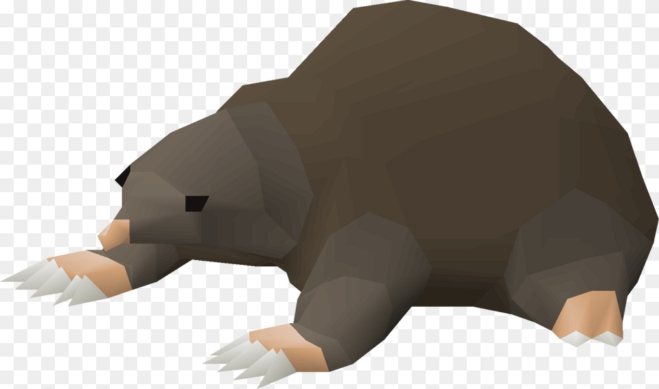 Mole Pet Osrs, Animal, Mammal, Baby, Person Free Png Download