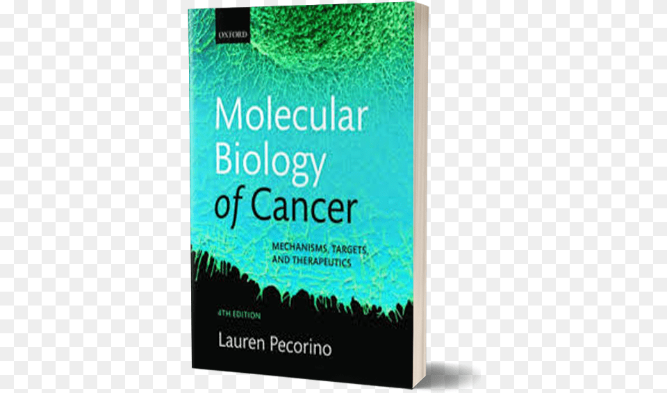 Molecular 3d, Book, Novel, Publication Free Png