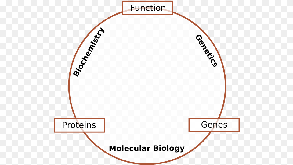 Molecular Biology, Disk, Page, Text Png