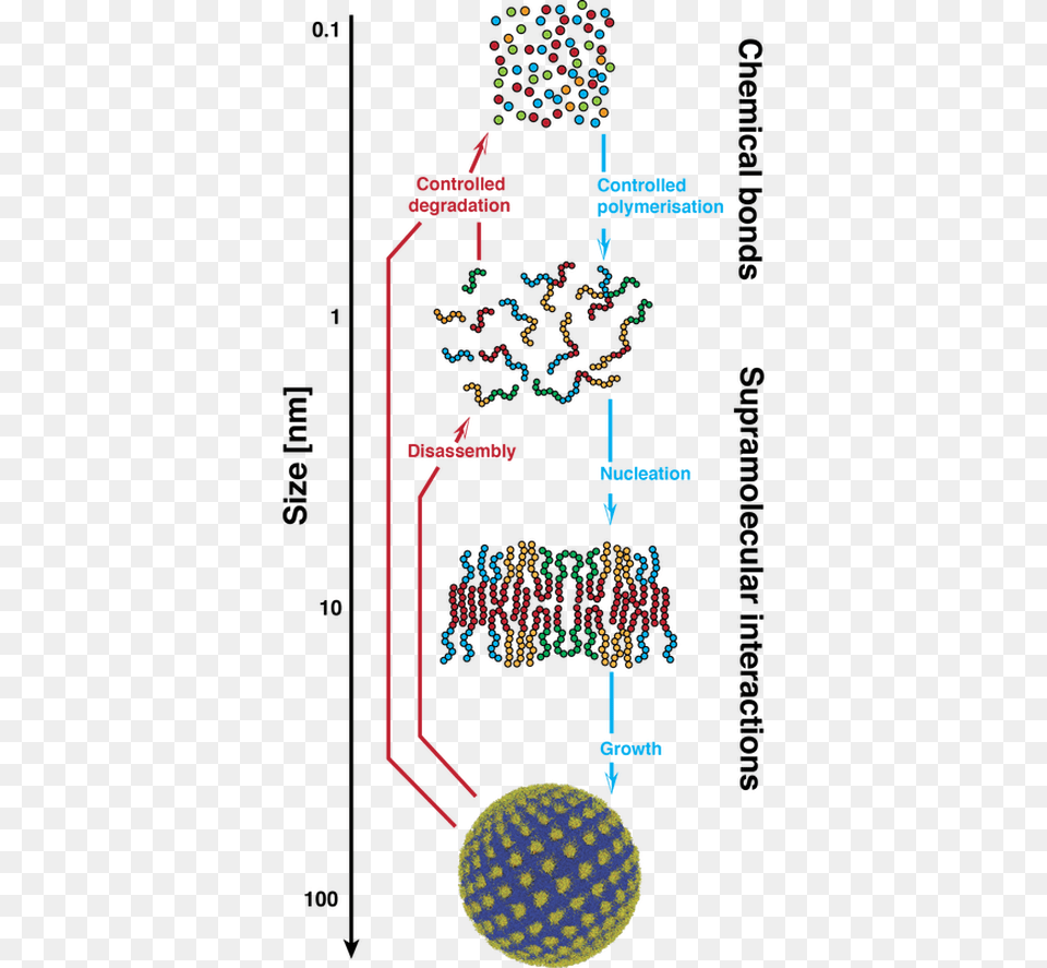 Molecular Engineering Of Nanoscopic Structures Starting Diagram, Indoors, Chandelier, Lamp, Bathroom Png Image