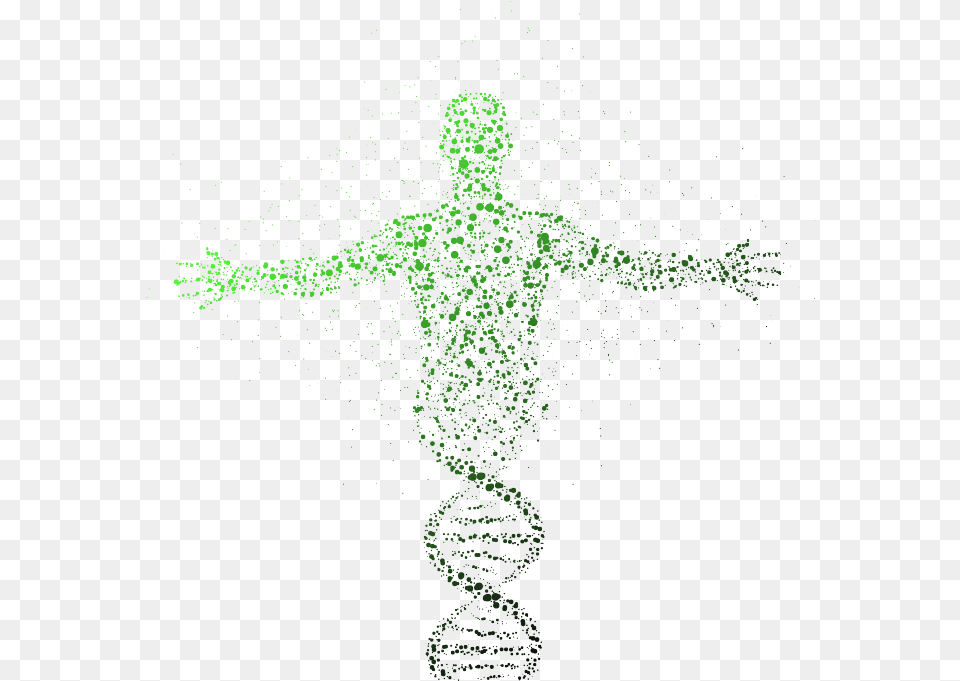 Molecular Structure Of Human Body, Green, Art, Purple Free Png Download