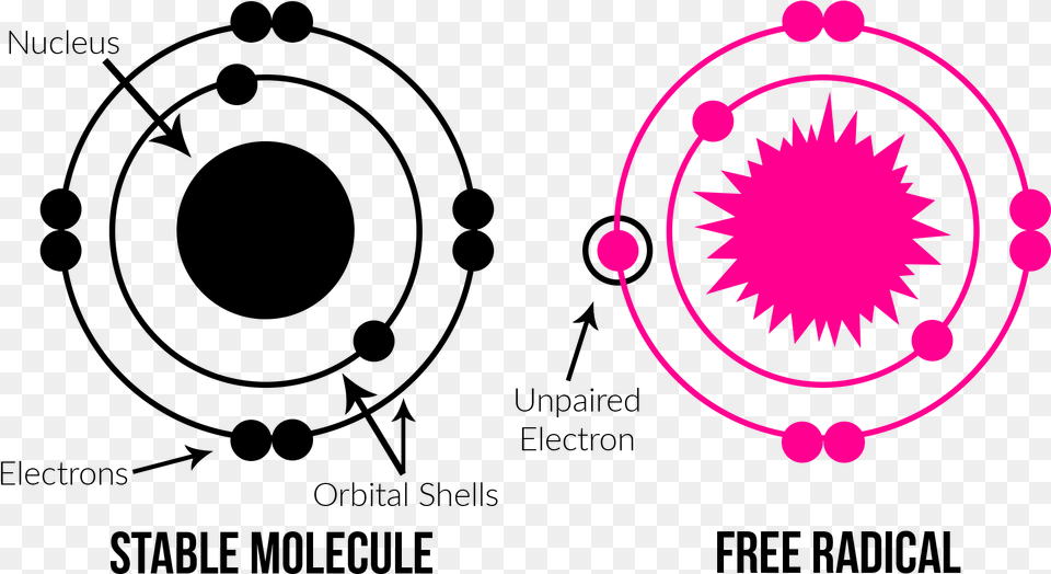 Molecule And Radical Diagrams Radical Molecules, Purple, Art, Graphics, Flower Png Image