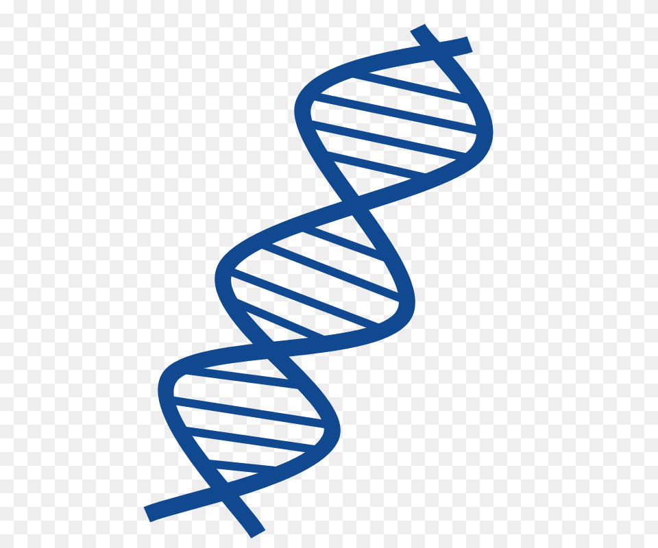 Molecule Clipart Dna Structure, Coil, Spiral, Architecture, Building Free Png Download