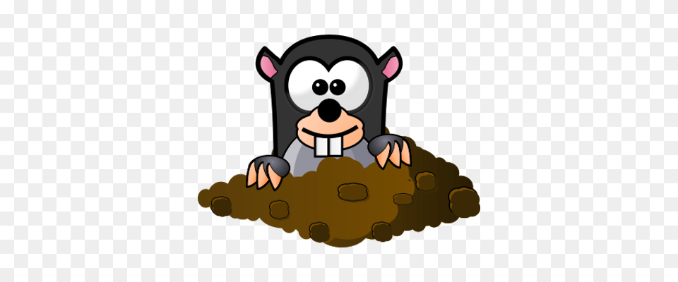 Moles Transparent Images, Animal, Mammal, Wildlife, Bear Png Image