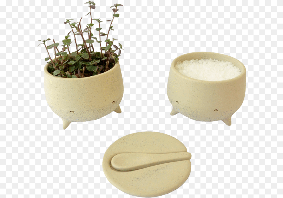 Moli Macetamolcajete De Cermica Ceramic, Vase, Pottery, Jar, Potted Plant Free Png Download