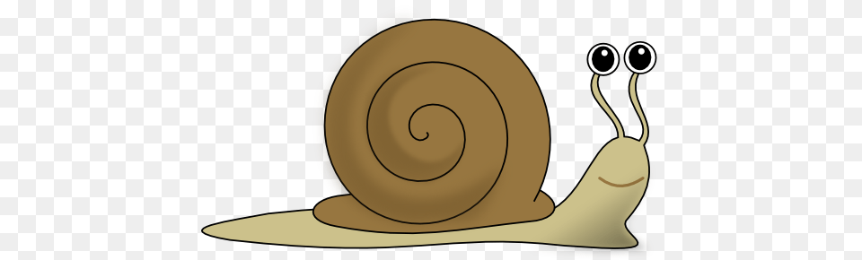 Mollusc Clipart Money, Animal, Invertebrate, Snail Free Transparent Png