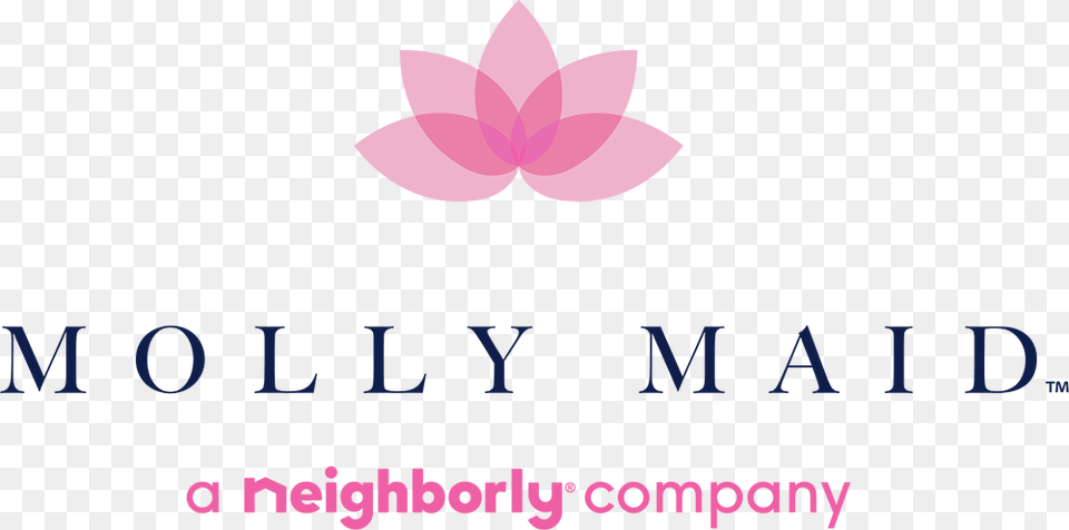 Molly Maid New Logo, Flower, Plant, Petal, Graphics Free Png
