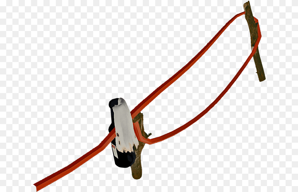 Molotovwiretrapfarket Monkey, Bow, Weapon, Slingshot Free Png