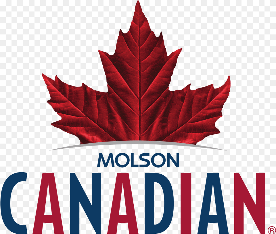 Molson Canadian, Leaf, Plant, Tree, Person Free Png Download