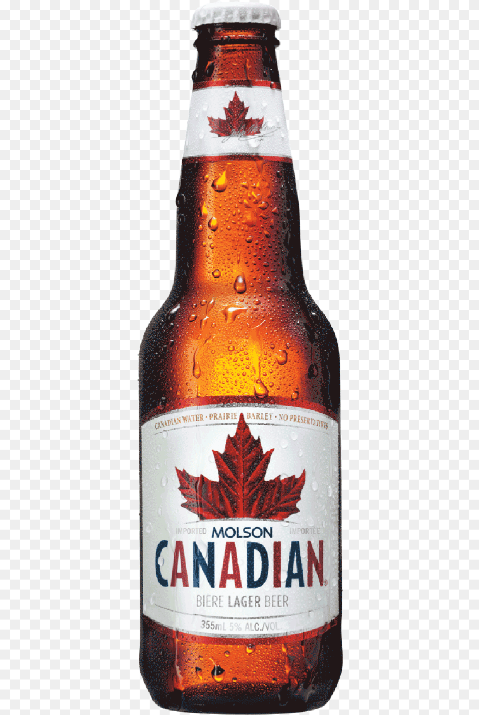 Molson Canadian Beer, Alcohol, Beer Bottle, Beverage, Bottle Free Png