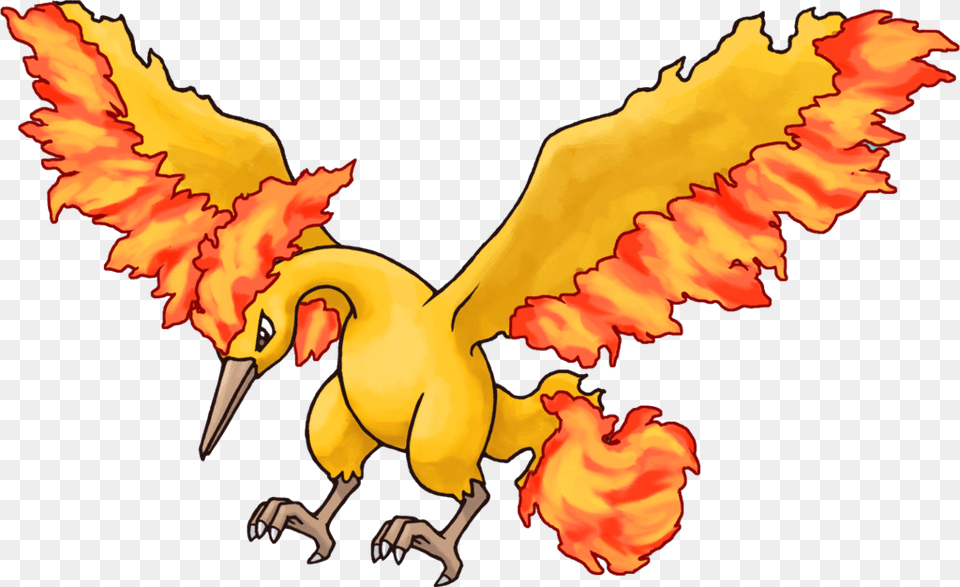 Moltres Pokemon, Animal, Beak, Bird, Flower Free Png Download