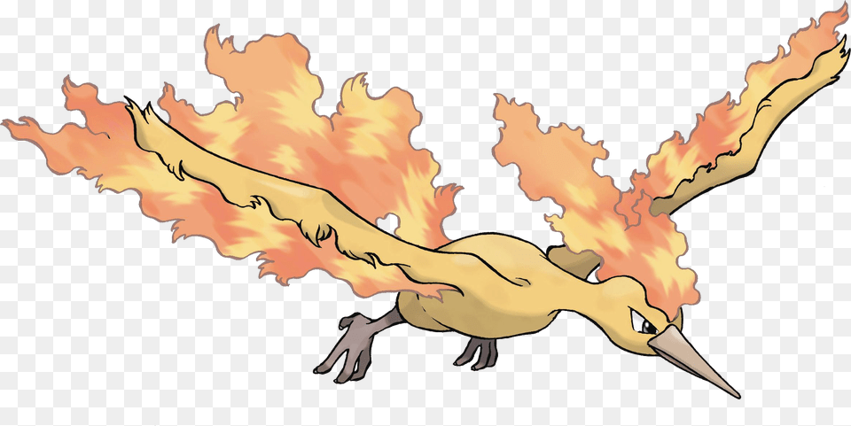 Moltres Pokemon, Animal, Beak, Bird, Baby Png