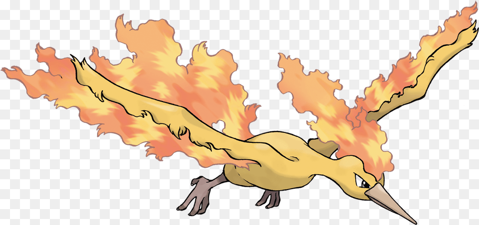 Moltres Pokemon, Animal, Beak, Bird, Person Png