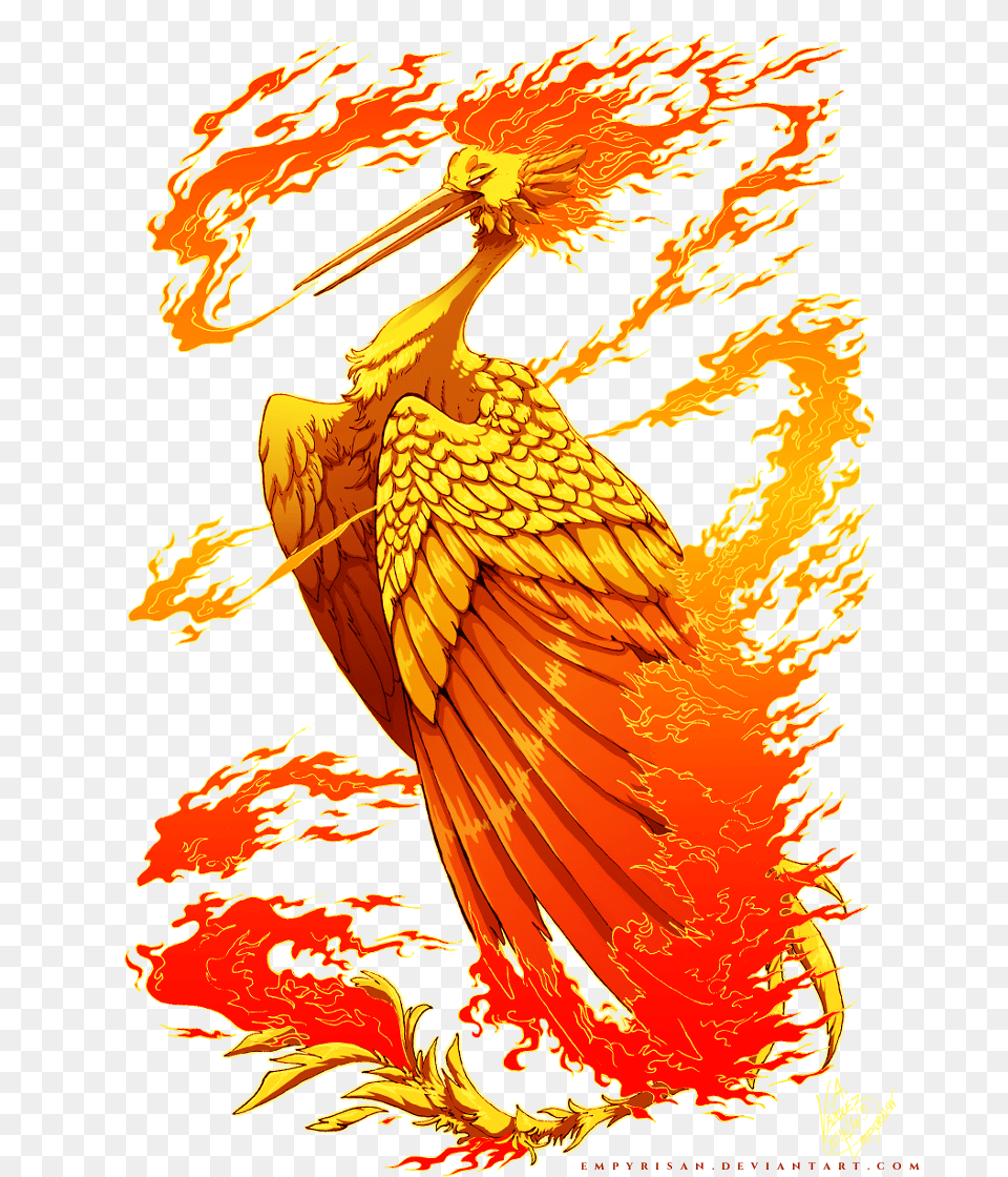 Moltres Used Fire Spin By Empyrisan Fire Bird, Adult, Female, Person, Woman Png