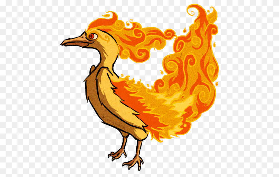 Moltres Wws, Animal, Bird, Chicken, Fowl Png