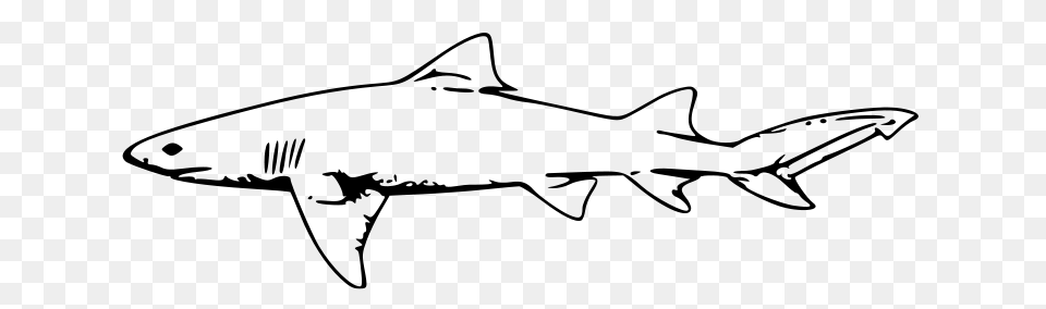 Molumen Lemon Shark, Gray Free Transparent Png