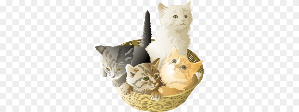 Mom I Canampfind My Shoes Animal Clipart, Basket, Cat, Kitten, Mammal Free Png Download