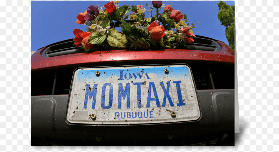 Mom Taxi Greeting Card Vehicle Registration Plate, Flower, Flower Arrangement, Flower Bouquet, License Plate Png