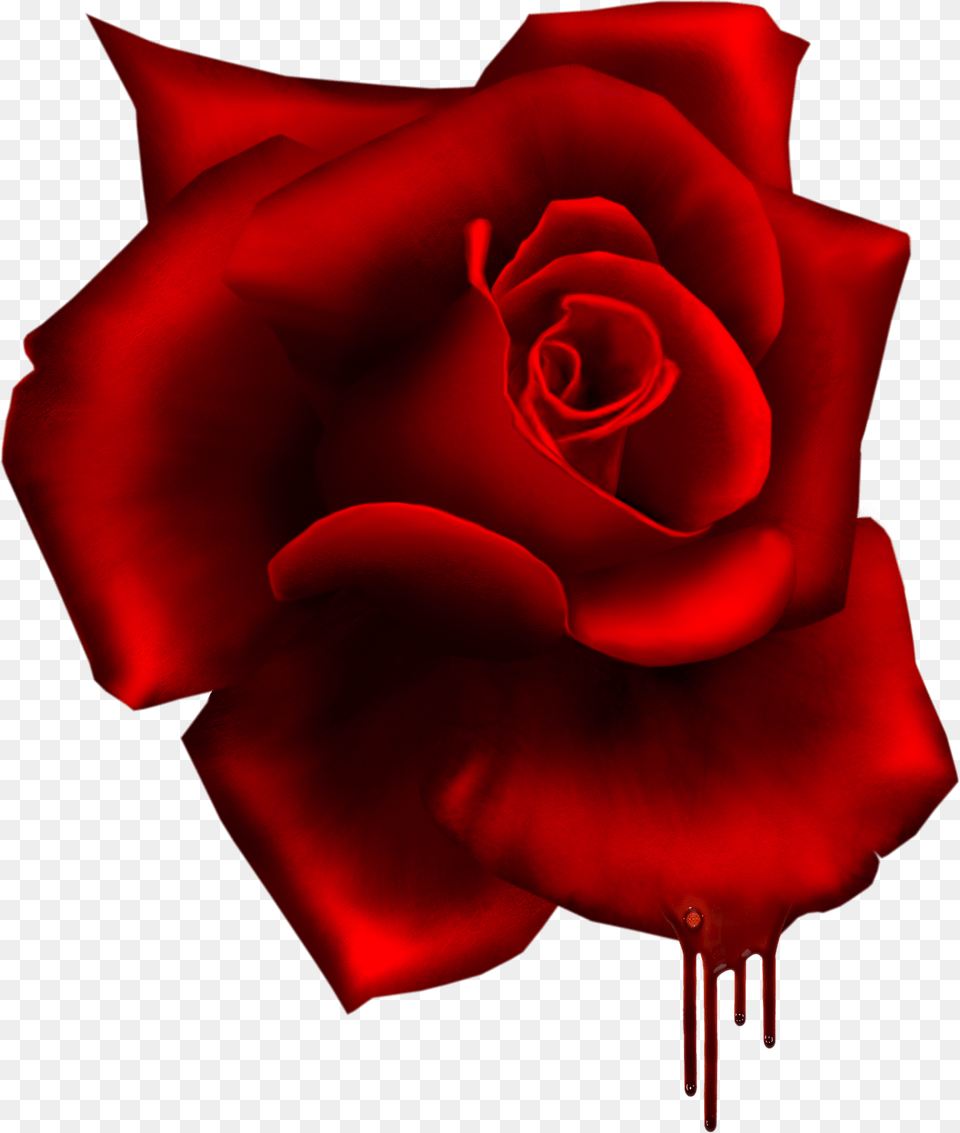 Moma Red Roses Decoration Clip Art Beautiful Flowers Rose Render, Flower, Plant, Petal Free Png Download