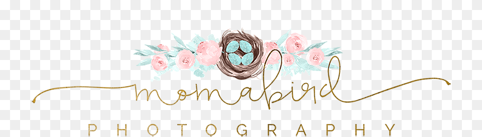 Momabird Photography Logo Garden Roses, Flower, Plant, Art, Graphics Free Transparent Png