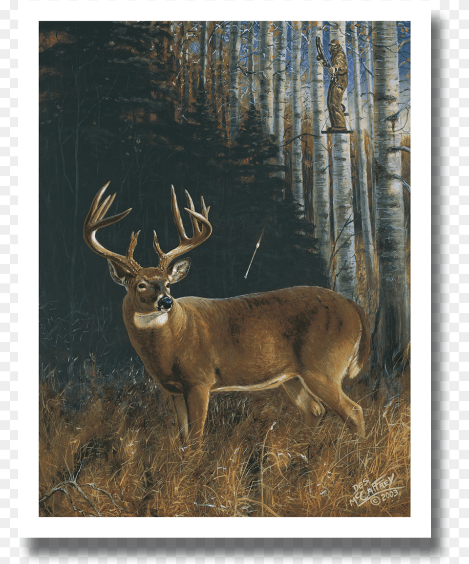 Moment Of Truth Printclass Lazyload Lazyload Fade Whitetail Deer Bow Hunting Painting, Animal, Elk, Mammal, Wildlife Free Png