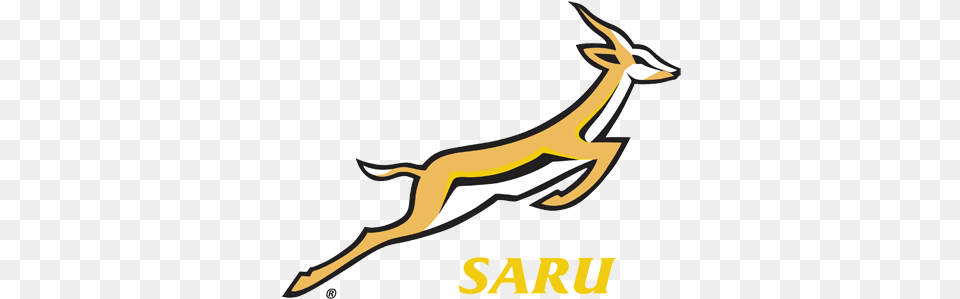 Moments Silence For Sa Sport Stars Springbok Rugby, Animal, Antelope, Gazelle, Mammal Free Png