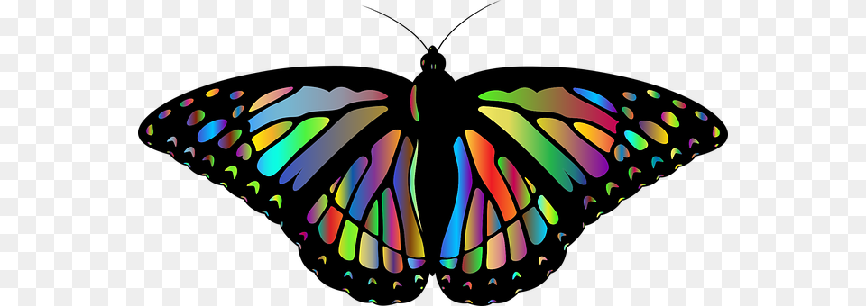 Monarch Art, Graphics Free Png Download