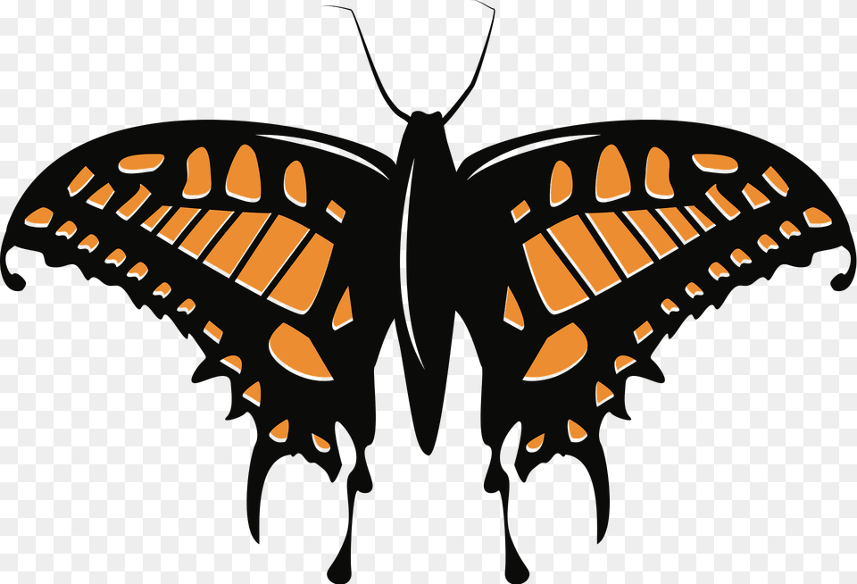 Monarch Butterflies Clipart, Animal, Butterfly, Insect, Invertebrate Free Transparent Png