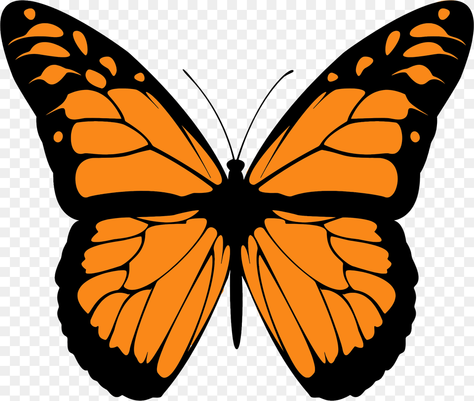 Monarch Butterflies Clipart Lemonize, Animal, Butterfly, Insect, Invertebrate Png