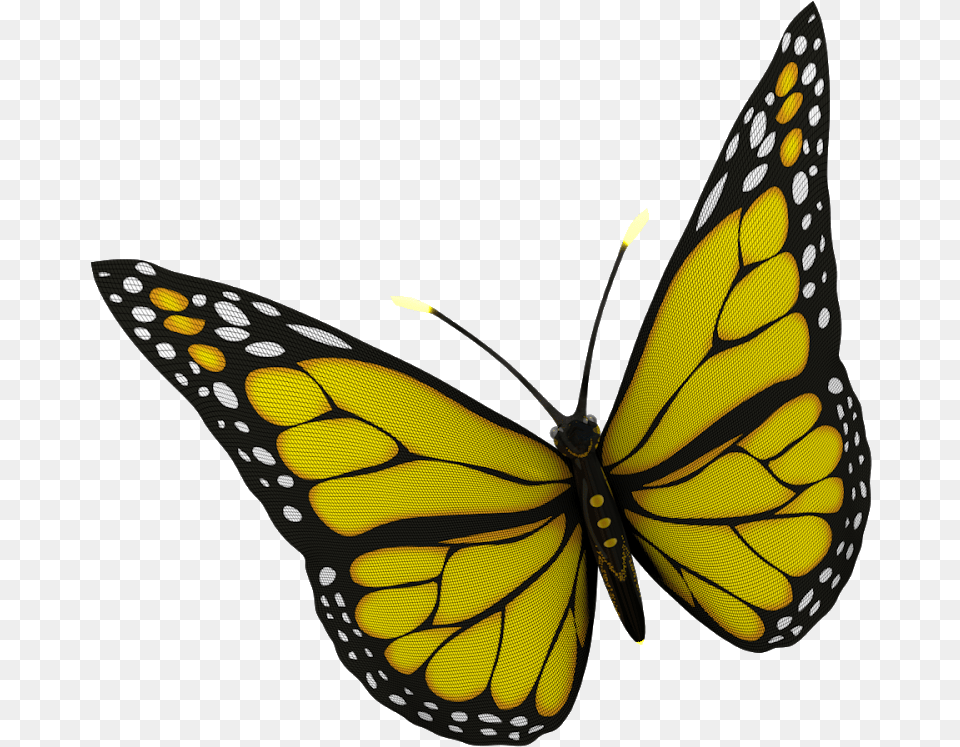 Monarch Butterfly, Animal, Insect, Invertebrate, Reptile Free Png