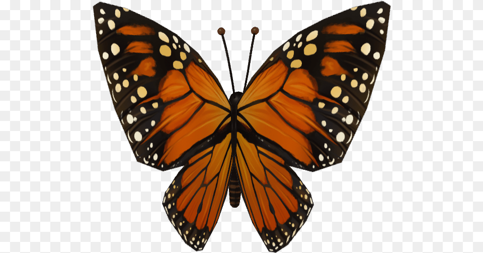 Monarch Butterfly, Animal, Insect, Invertebrate, Person Png Image