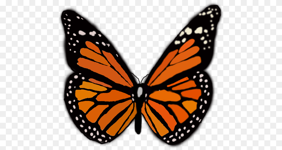 Monarch Butterfly 3d, Animal, Insect, Invertebrate, Spider Free Png Download