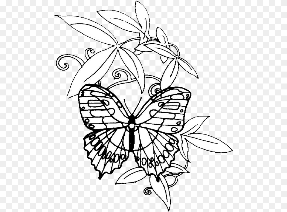 Monarch Butterfly, Stencil, Art, Floral Design, Graphics Free Png