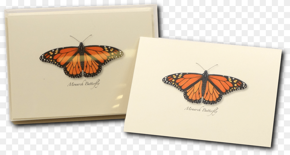 Monarch Butterfly, Animal, Insect, Invertebrate Free Png Download