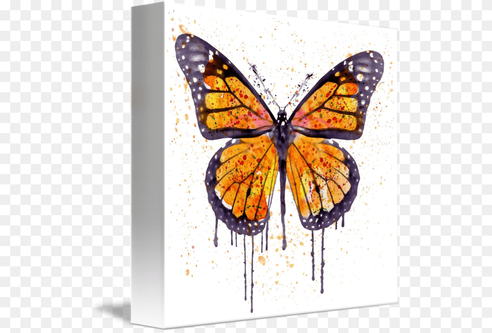 Monarch Butterfly Acrylic Painting, Art, Canvas, Modern Art, Animal Png