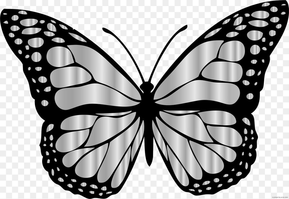Monarch Butterfly Animal Black White Clipart Images Butterfly Clipart Black And White, Stencil, Art Png Image