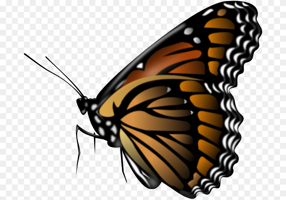Monarch Butterfly Animation Monarch Butterfly Clip Art Monarch, Animal, Insect, Invertebrate Free Transparent Png