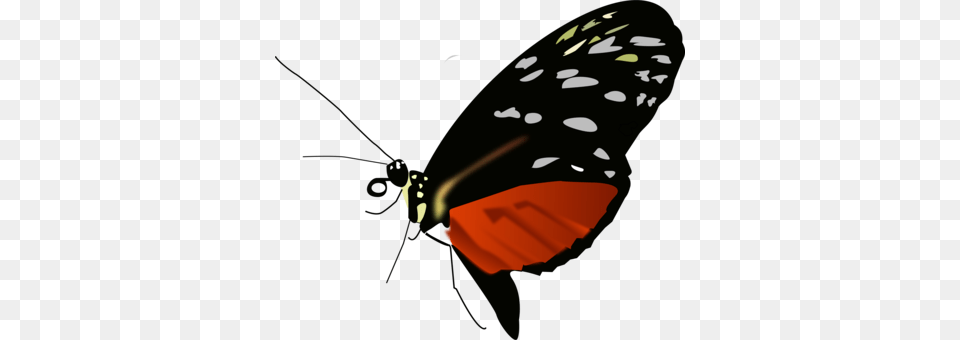 Monarch Butterfly Biosphere Reserve Insect, Animal, Invertebrate, Smoke Pipe Free Png