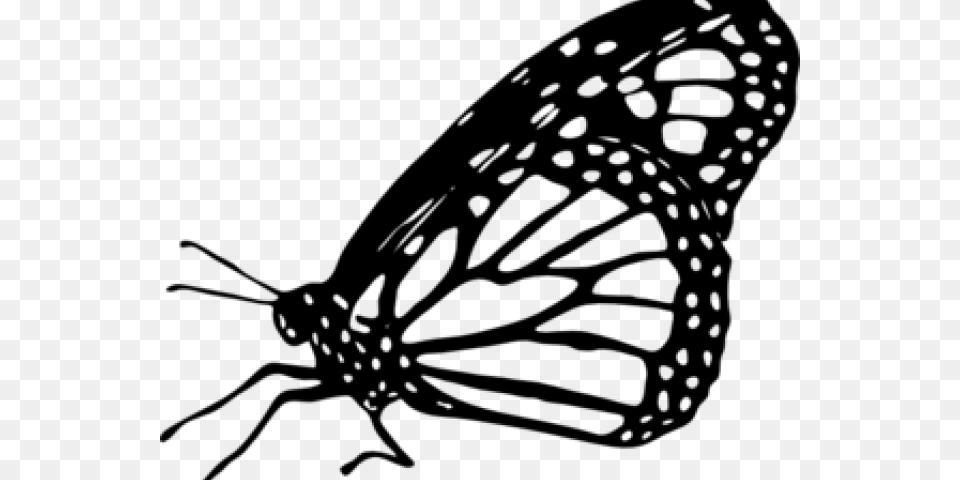 Monarch Butterfly Black And White Clipart, Gray Free Png