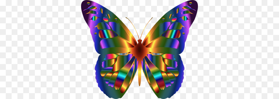 Monarch Butterfly Butterflies Insects A Butterfly, Art, Graphics, Purple, Pattern Png Image