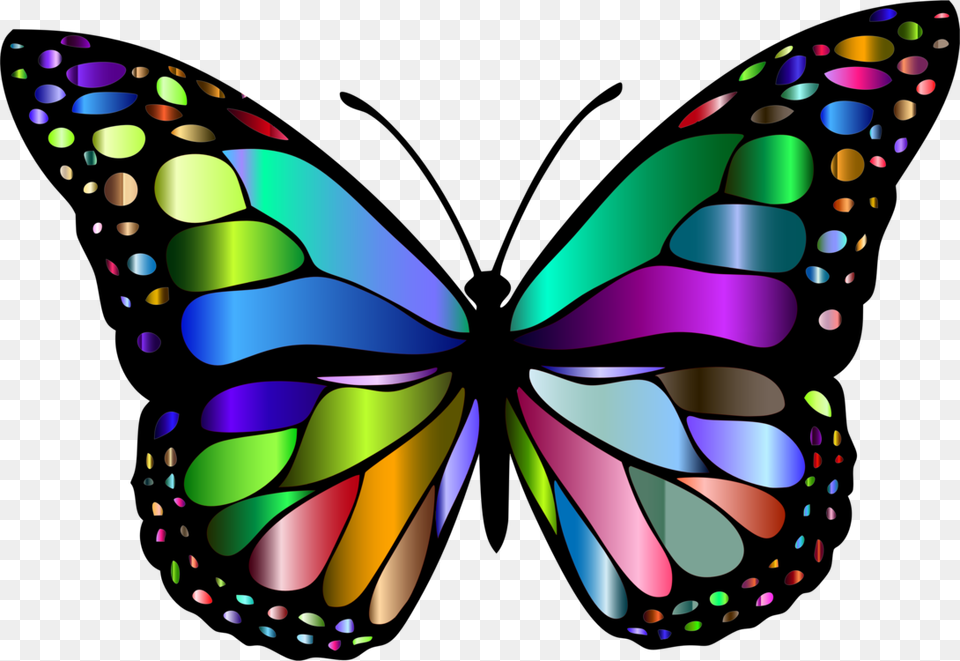 Monarch Butterfly Butterflies Insects A Butterfly Free, Art, Graphics Png