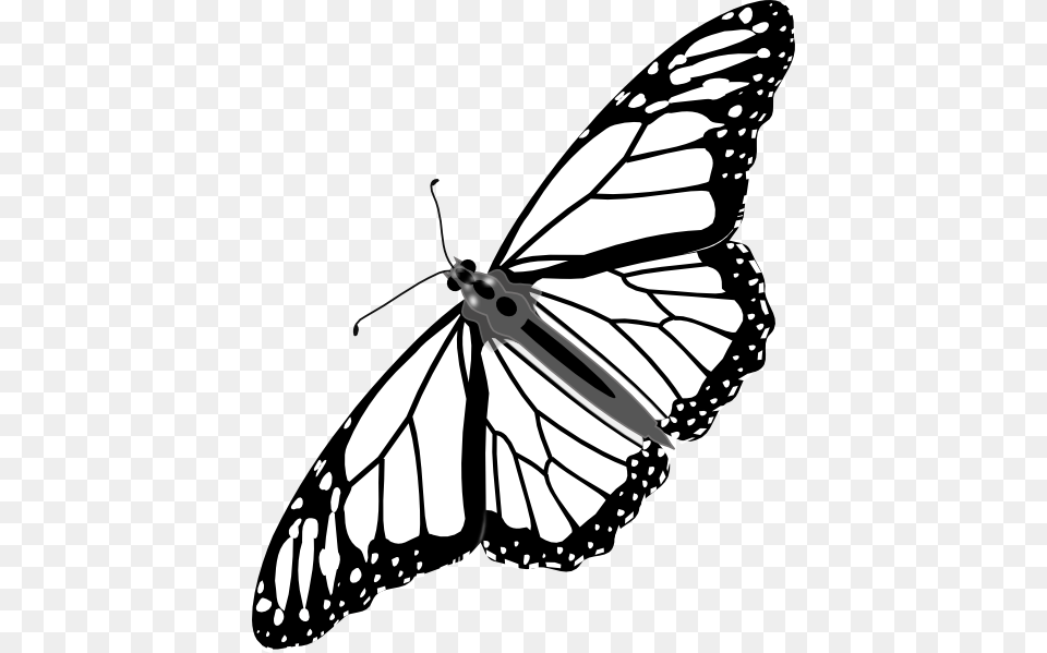 Monarch Butterfly Bw No Shadow Clip Art, Animal, Insect, Invertebrate, Person Free Transparent Png
