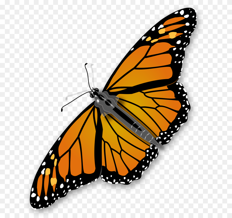Monarch Butterfly Clip Arts For Web, Animal, Insect, Invertebrate Free Transparent Png