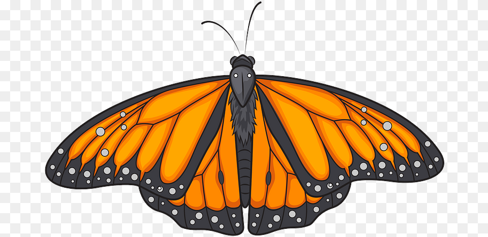 Monarch Butterfly Clipart, Animal, Insect, Invertebrate Png Image