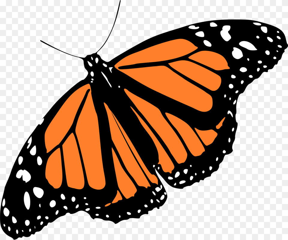 Monarch Butterfly Clipart, Animal, Insect, Invertebrate, Food Png