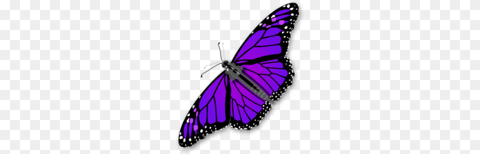Monarch Butterfly Clipart, Purple, Animal, Insect, Invertebrate Png Image