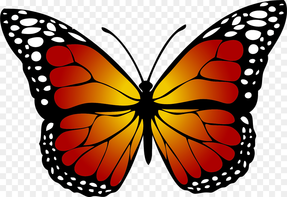 Monarch Butterfly Clipart, Animal, Insect, Invertebrate, Fish Png Image