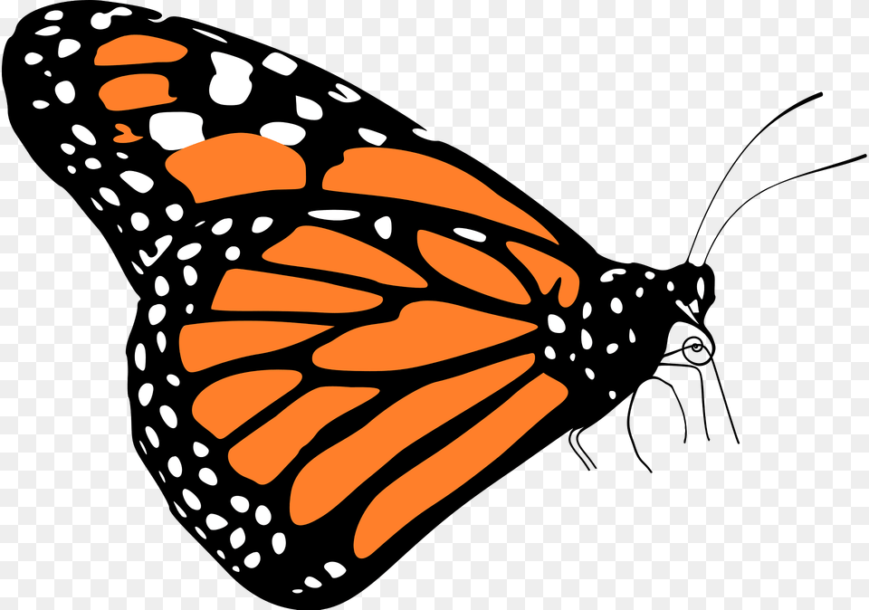Monarch Butterfly Clipart, Animal, Insect, Invertebrate, Fish Free Png Download
