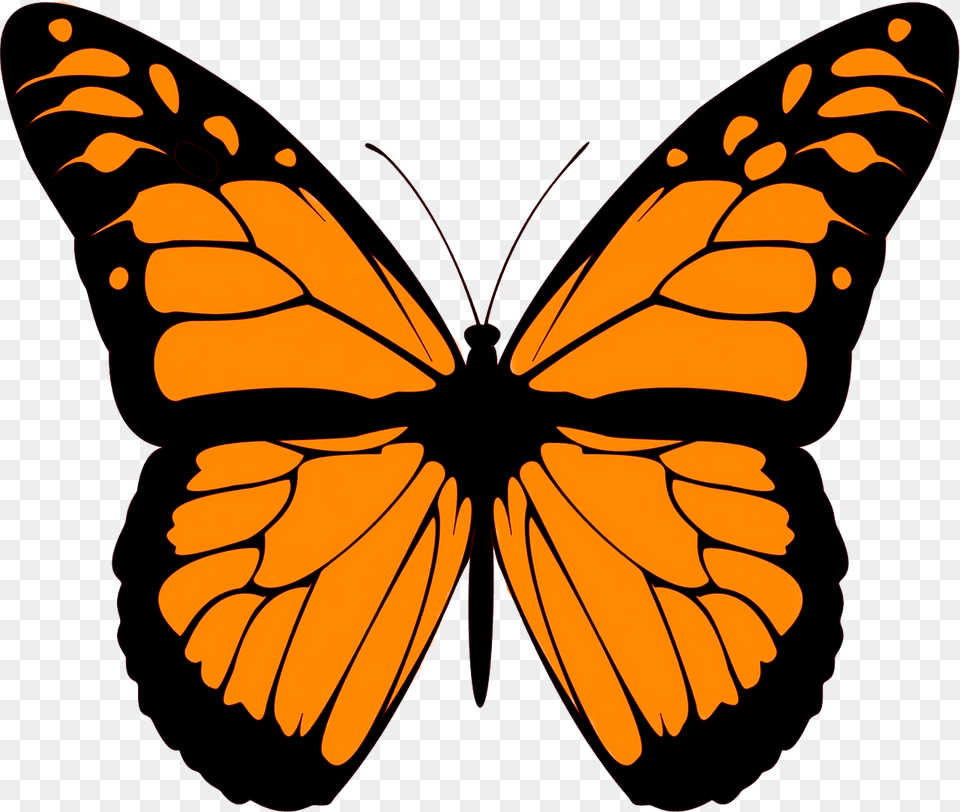 Monarch Butterfly Clipart, Animal, Insect, Invertebrate Free Transparent Png