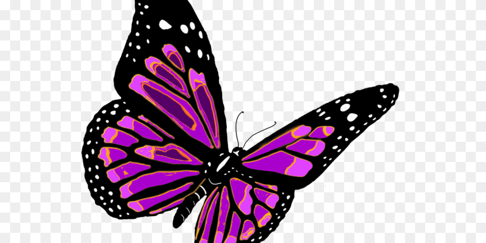 Monarch Butterfly Clipart Full Hd, Purple, Animal, Insect, Invertebrate Free Png Download